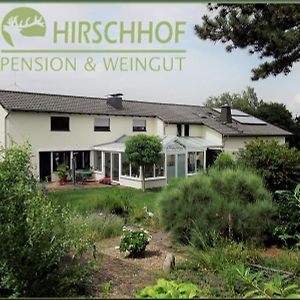 Offenheim Pension Und Weingut Hirschhof Exterior photo