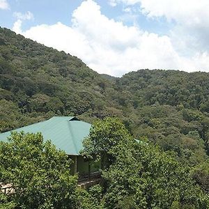 Kisoro Gorilla Hills Eco-Lodge Exterior photo