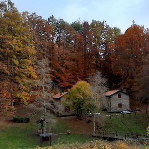 דירות Corfino Agriturismo Il Canale Exterior photo