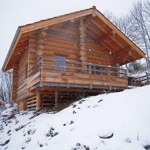 הוילה Saint-Martin-la-Sauvete Chalet Bois Chaleureux Avec Terrasse, Internet Et Animaux Acceptes - Fr-1-496-187 Exterior photo