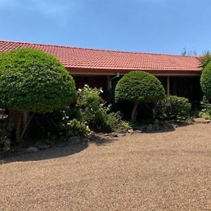 Muswellbrook Motor Inn Exterior photo