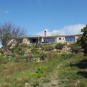 לינה וארוחת בוקר Fraissé-des-Corbières La Loubiere, Ancienne Bergerie En Pleine Garrigue Exterior photo