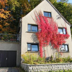 הוילה Ebersbach-Neugersdorf Unser Ferienhaus Exterior photo