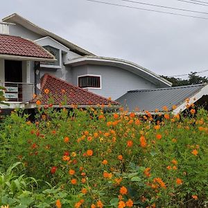 Meenangadi Chamayam Holiday Villa Exterior photo