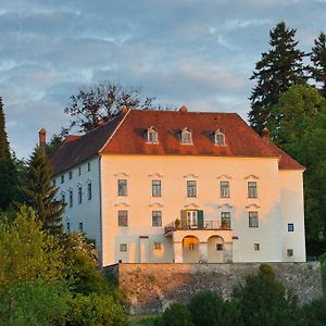 שטיינקירשן אם פורסט Schloss Ernegg Exterior photo