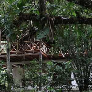 פורטו קיטו Caoni Riverside Suites - Birders Paradise By The River, Ecuadorian Choco Exterior photo