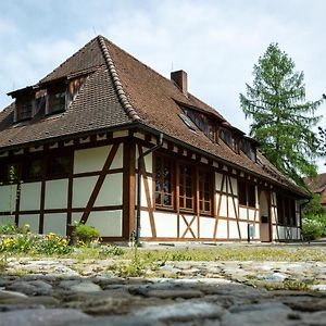 מלון Hohenfels  Schloss Hohenfels/ Gaestehaus Morgenrot Exterior photo