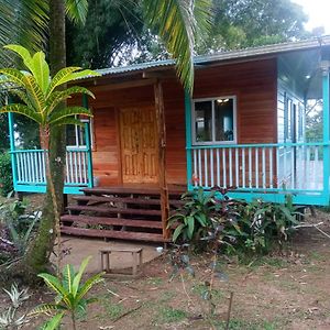 הוילה בוקס דל טורו The Bamboo House Exterior photo