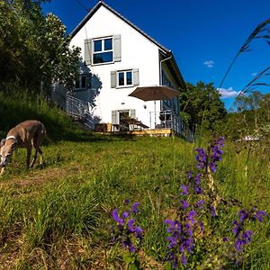 Gerabronn Freistehendes Ferienhaus Mit Kamin, Sauna, Atemberaubenden Blick Ins Tal, Mehrere Terrassen, 1500Qm Grundstuck 1,6M Hoch Eingezaunt Exterior photo