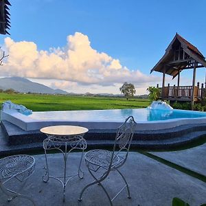 פנתאי צנאנג Rumah Bendang Langkawi Villa Pool Exterior photo