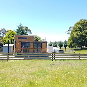 Staverton Tiny Cradle At The Good Place Exterior photo