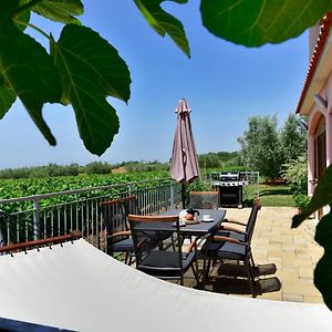 Tar-Vabriga Apartment Surrounded By A Vineyard Exterior photo