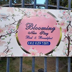 האריסמית Blooming Nice Stay Exterior photo