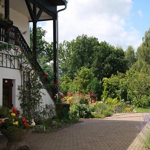 Leegebruch Gasthof & Pension Palmenhof Exterior photo