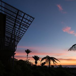 The Ocean View Retreat פונאקייקי Exterior photo