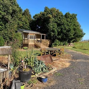 הוילה Ohauiti The Treehut Exterior photo