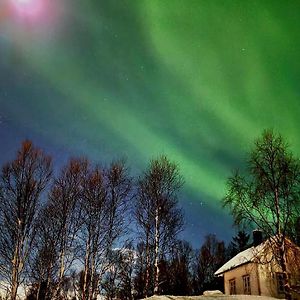 הוילה Botnhamn Cabin Magic On Senja, Atmosphere Like A Fairytale Exterior photo