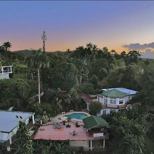 Canovanas Pancho'S Paradise - Rainforest Guesthouse With Pool, Gazebo And View Exterior photo