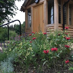 East Meon South Downs Eco Lodge & Camping Exterior photo