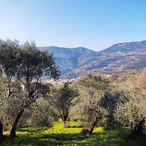 Contes  Bas De Villa. Cote D'Azur, A 20 Kms De Nice Exterior photo