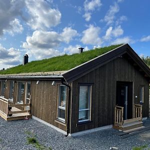 Svingvoll Brand New Cottage With Super Views Skeikampen Exterior photo