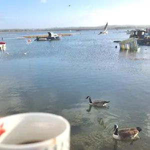 הוילה Holes Bay Nature Reserve, Poole, Right Next To The Water Exterior photo