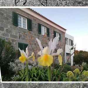 מלון Castelo Branco  Belo Campo - Ilha Do Faial Exterior photo