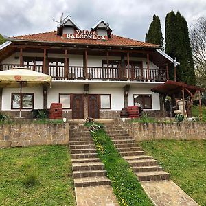 Villa Balconlux - Zavojsko Jezero, פירוט Exterior photo