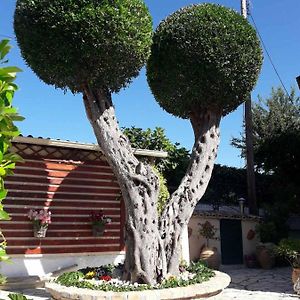 בניטסס Flowers Studios Exterior photo