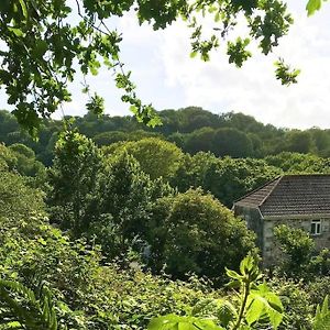 דירות הלסטון Cosy Retreat In Beautiful Cornwall Exterior photo