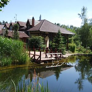 Zvíkovské Podhradí Ivanek Guest House Exterior photo