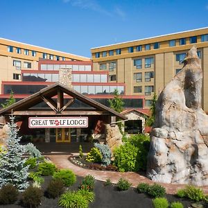 לאומינסטר Great Wolf Lodge New England Exterior photo