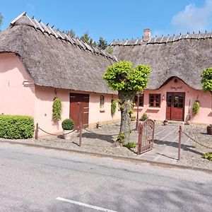 Årup Liebhaveri I Saerklasse Exterior photo