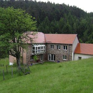 דירות Wangenbourg-Engenthal Gite Gretel De La Ferme Du Schneeberg Exterior photo