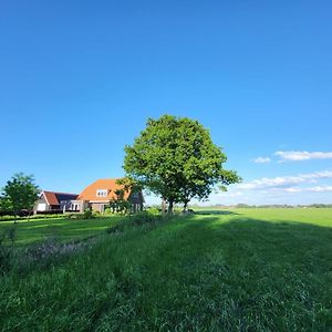 Terschuur Bed & Breakfast De Vink Exterior photo