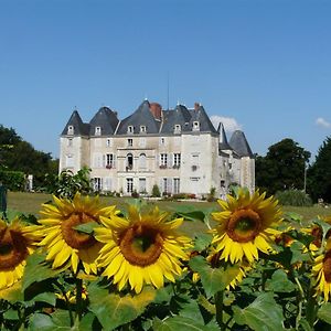 Dange-Saint-Romain Chateau De Piolant Exterior photo