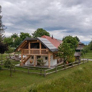 Ivancna Gorica Holiday Home Virida, App Leopold III Exterior photo