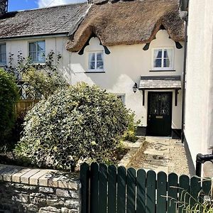 Dolton Beautiful 1 Bed Thatched Cottage Exterior photo