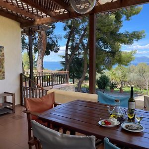 הוילה תאולוגוס Stunning Evia Sea View Country House Exterior photo