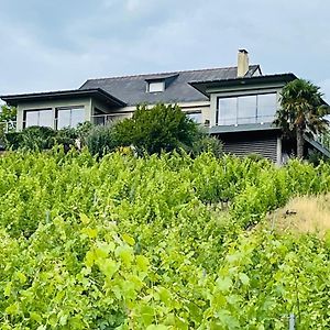 הוילה Chaudefonds-sur-Layon Maison Des Coteaux Blancs Exterior photo