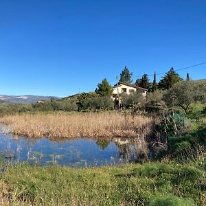 הוילה Gagliano Castelferrato La Casa Delle Olive Exterior photo