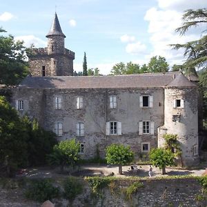 לינה וארוחת בוקר Saint-Etienne-Vallee-Francaise Le Chateau De Cambiaire Exterior photo