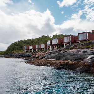 הוילה Lyngseidet Aurora Fjord Cabins Exterior photo