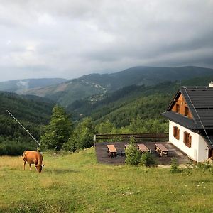 הוילה אוסקדניצה Chata Marguska - U Fera Exterior photo