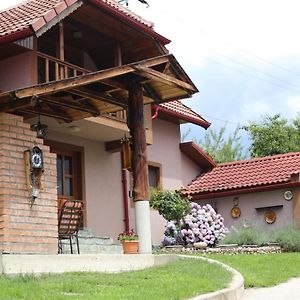 הוילה Novaci-Străini Casa Darius Exterior photo