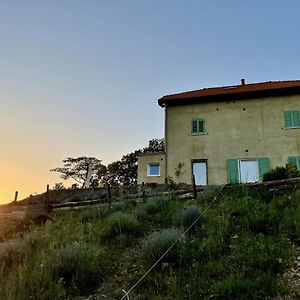 הוילה ססלו Agriturismo Cascina Cornelli Exterior photo