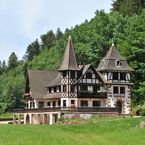 הוילה Lohr Le Saint Moulin De La Petite Pierre Exterior photo