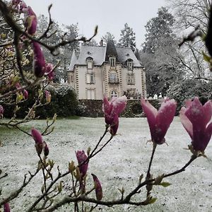 לינה וארוחת בוקר Saint-Léonard-de-Noblat Chateau Maleplane Exterior photo