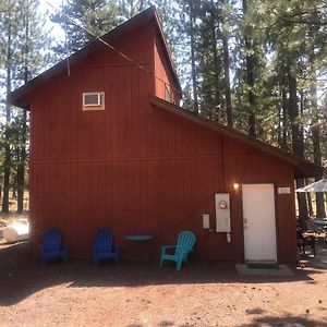 סוזאנוויל Cheerful 2-Bedroom Cottage Near Eagle Lake Exterior photo