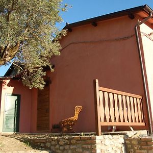 הוילה Mompeo Azienda Agricola Colle Paradiso Exterior photo